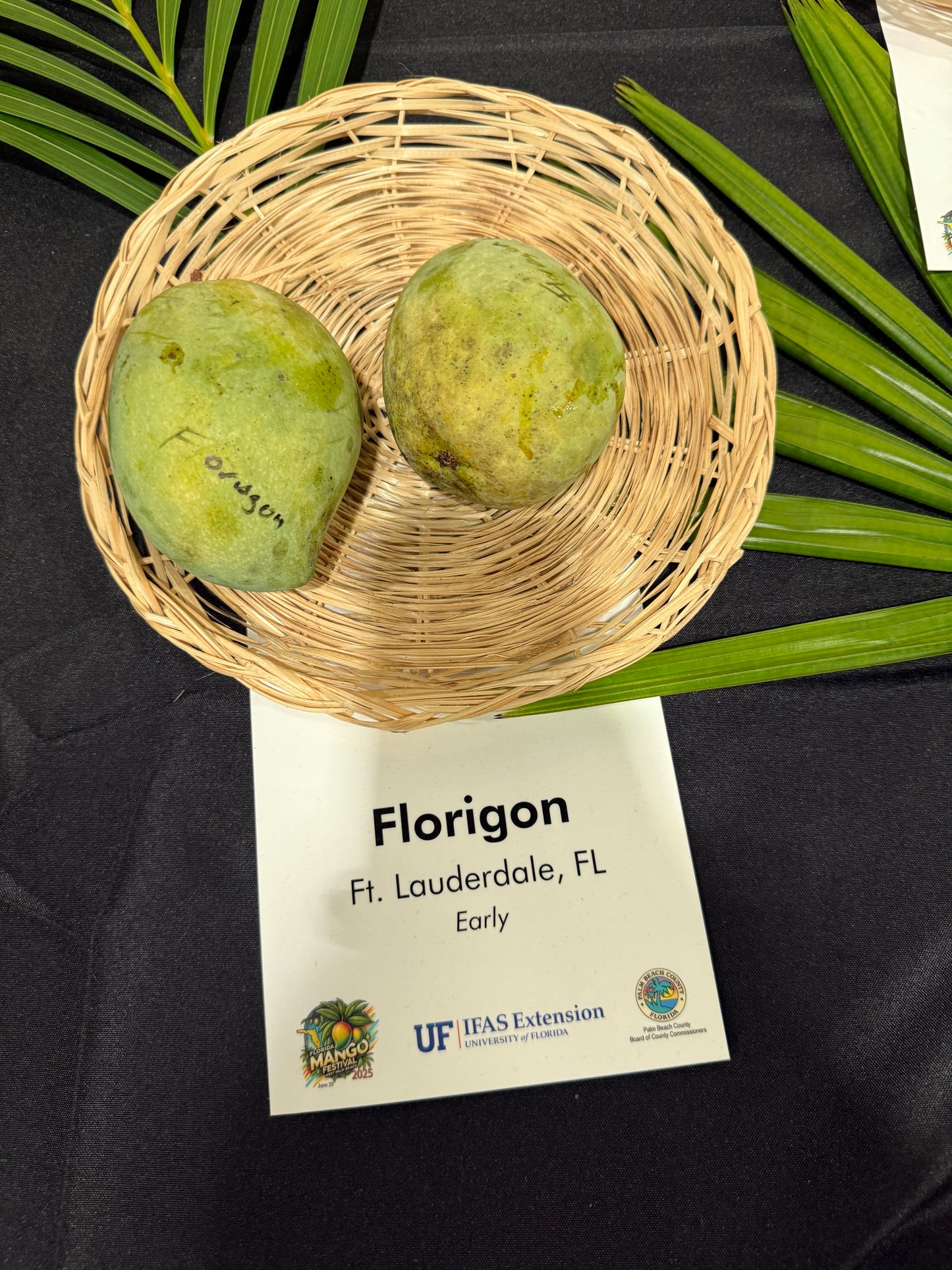 Florigon
