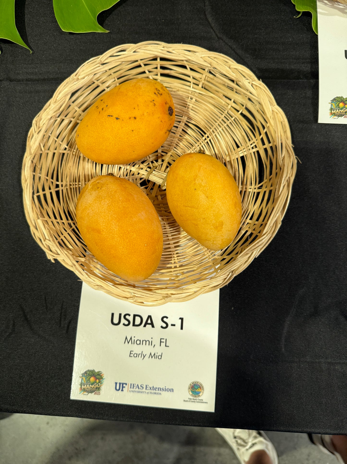 USDA S-1