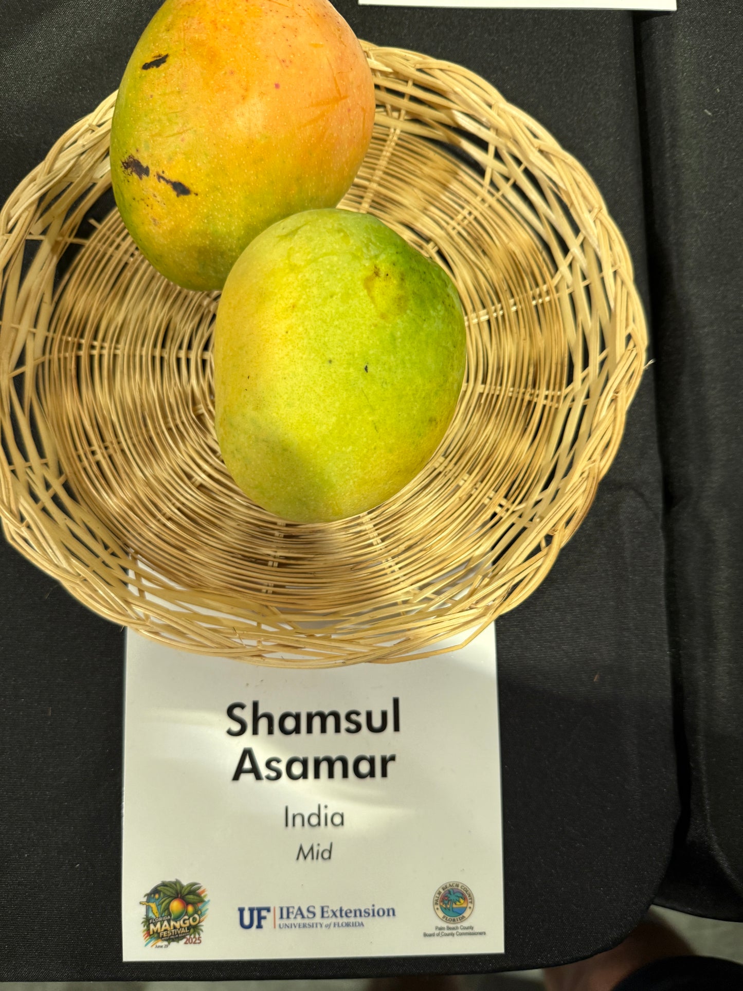 Shamsul Asamar