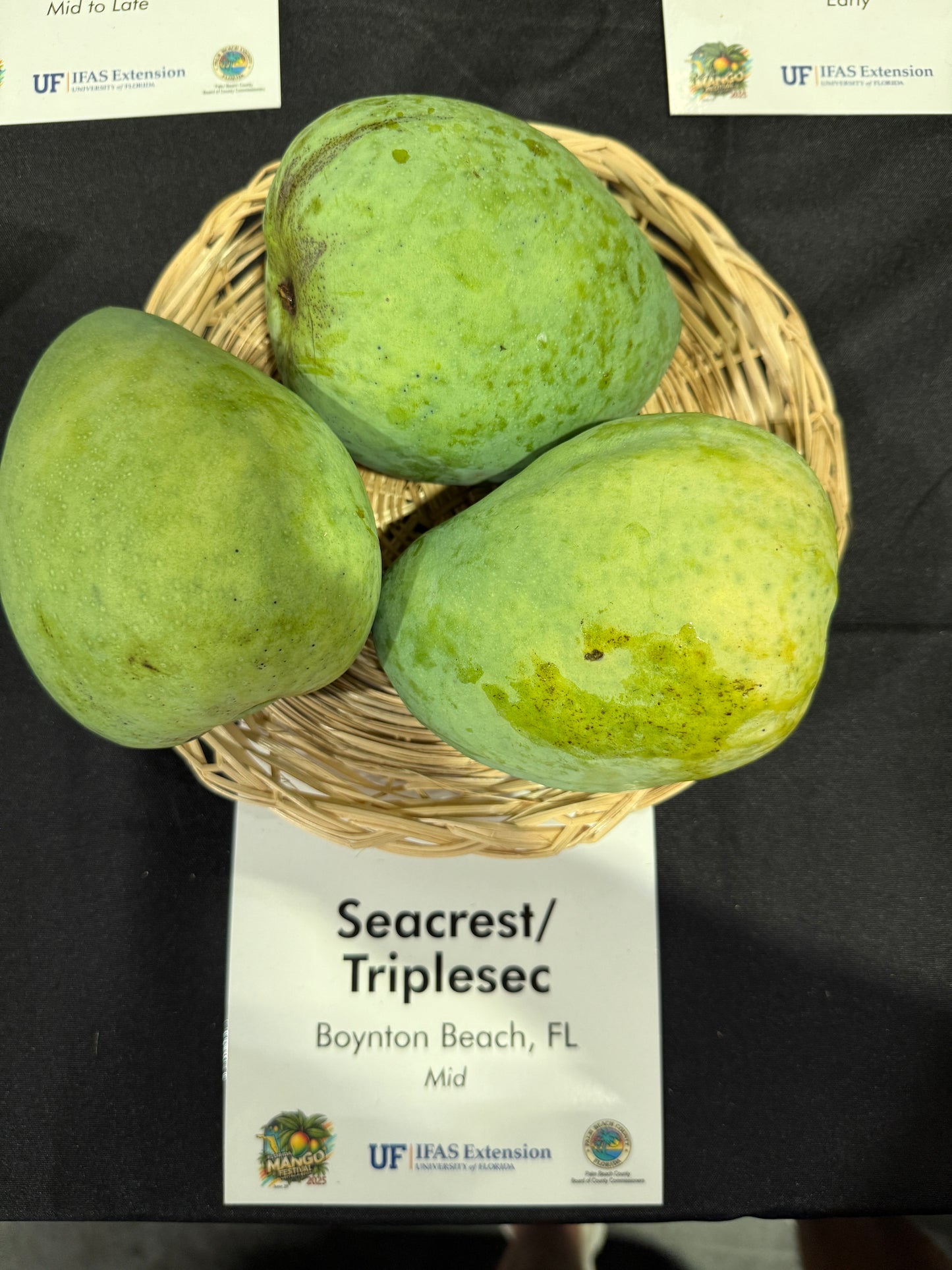 Triplesec / Seacrest