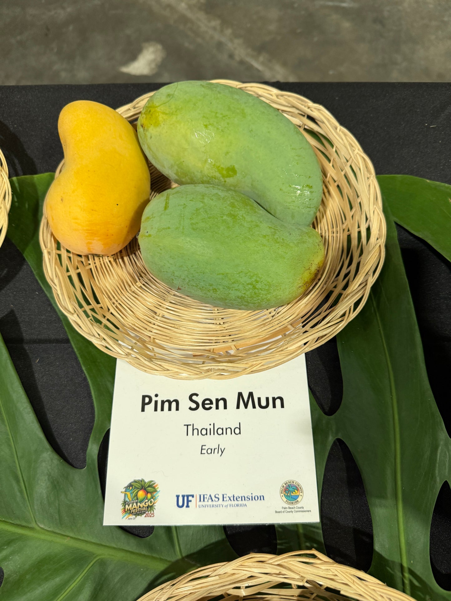 Pim Sen Mun