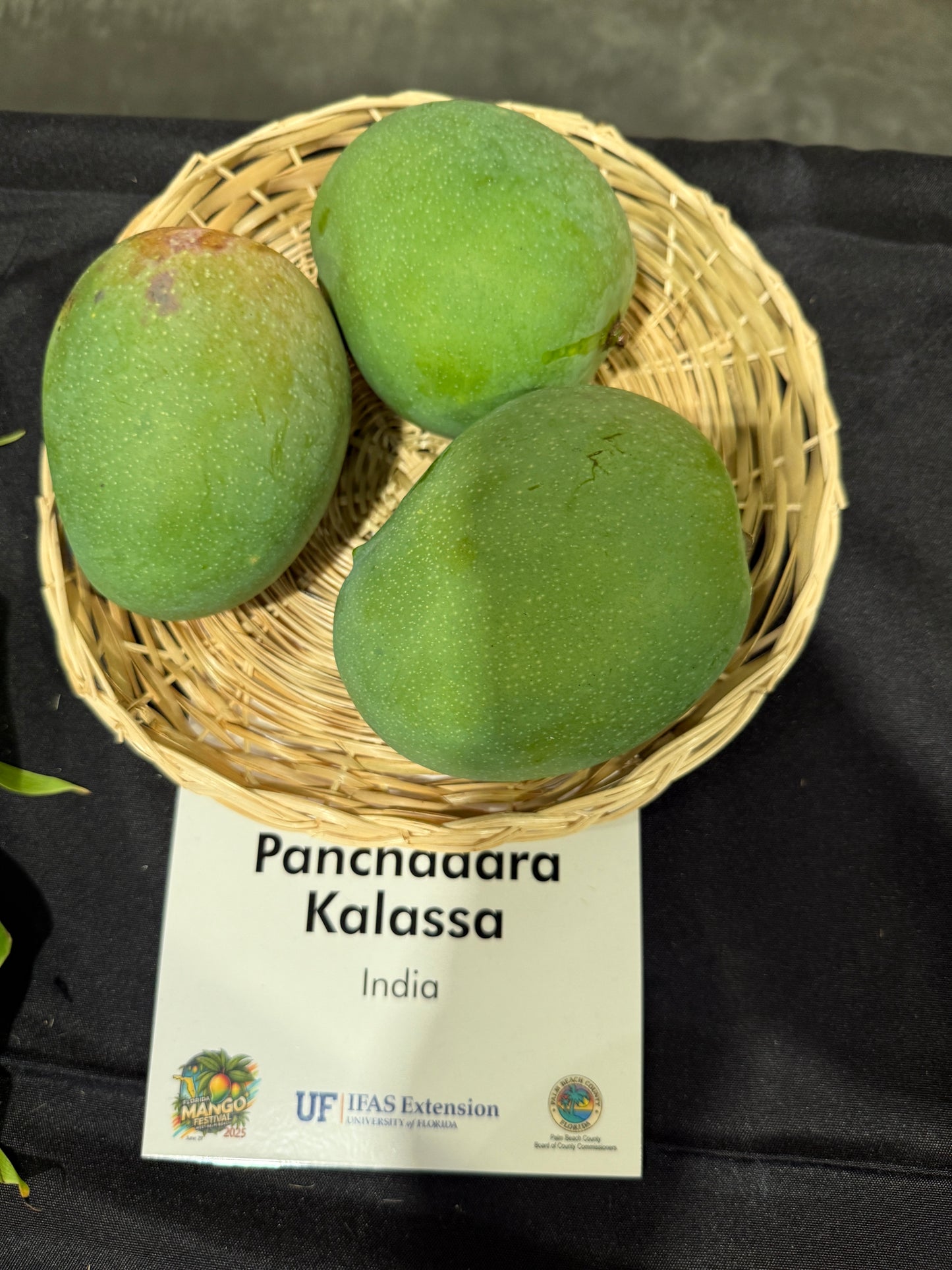 Panchadara Kalasa