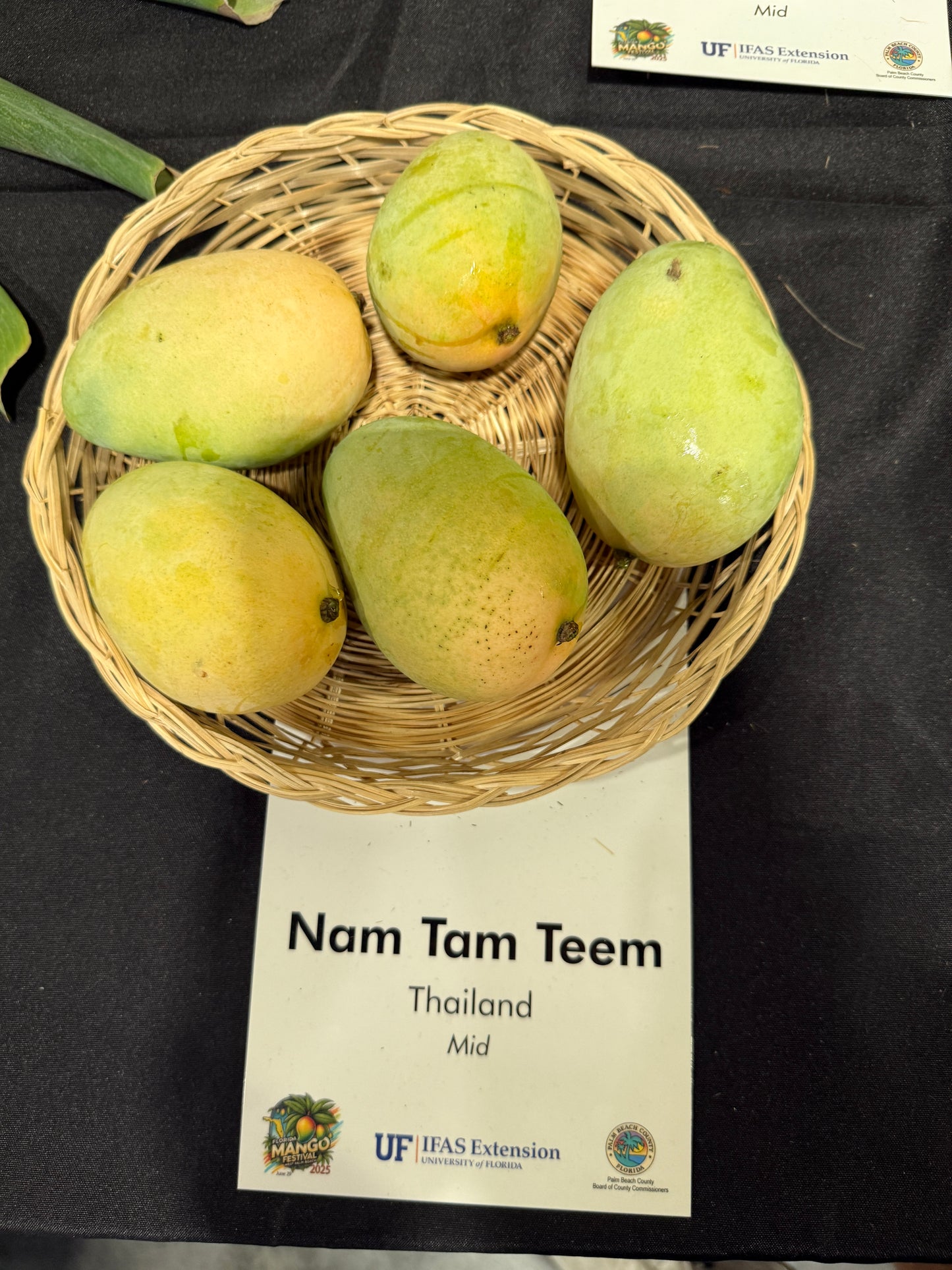 Nam Tam Teem