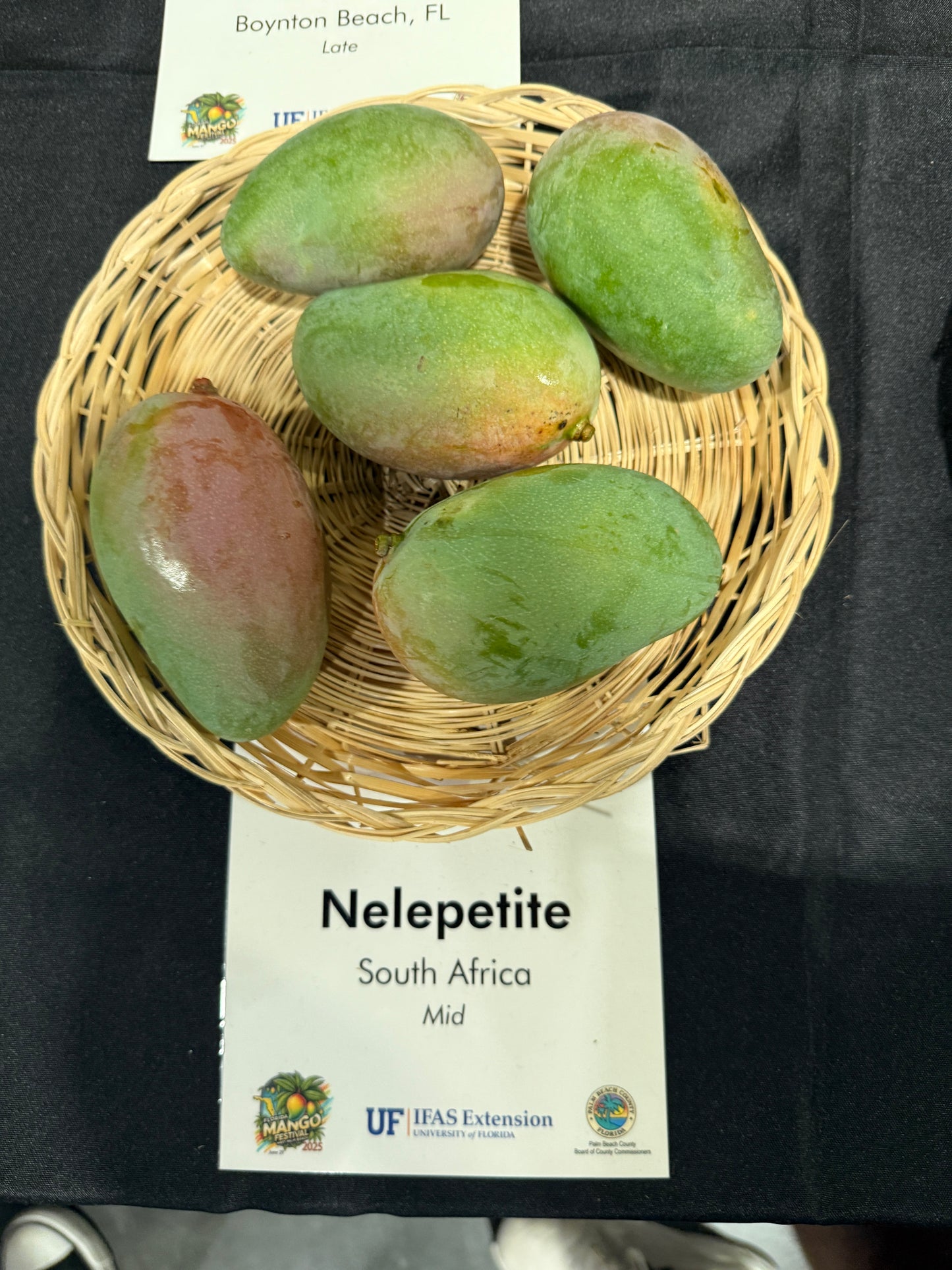 Nelepetite