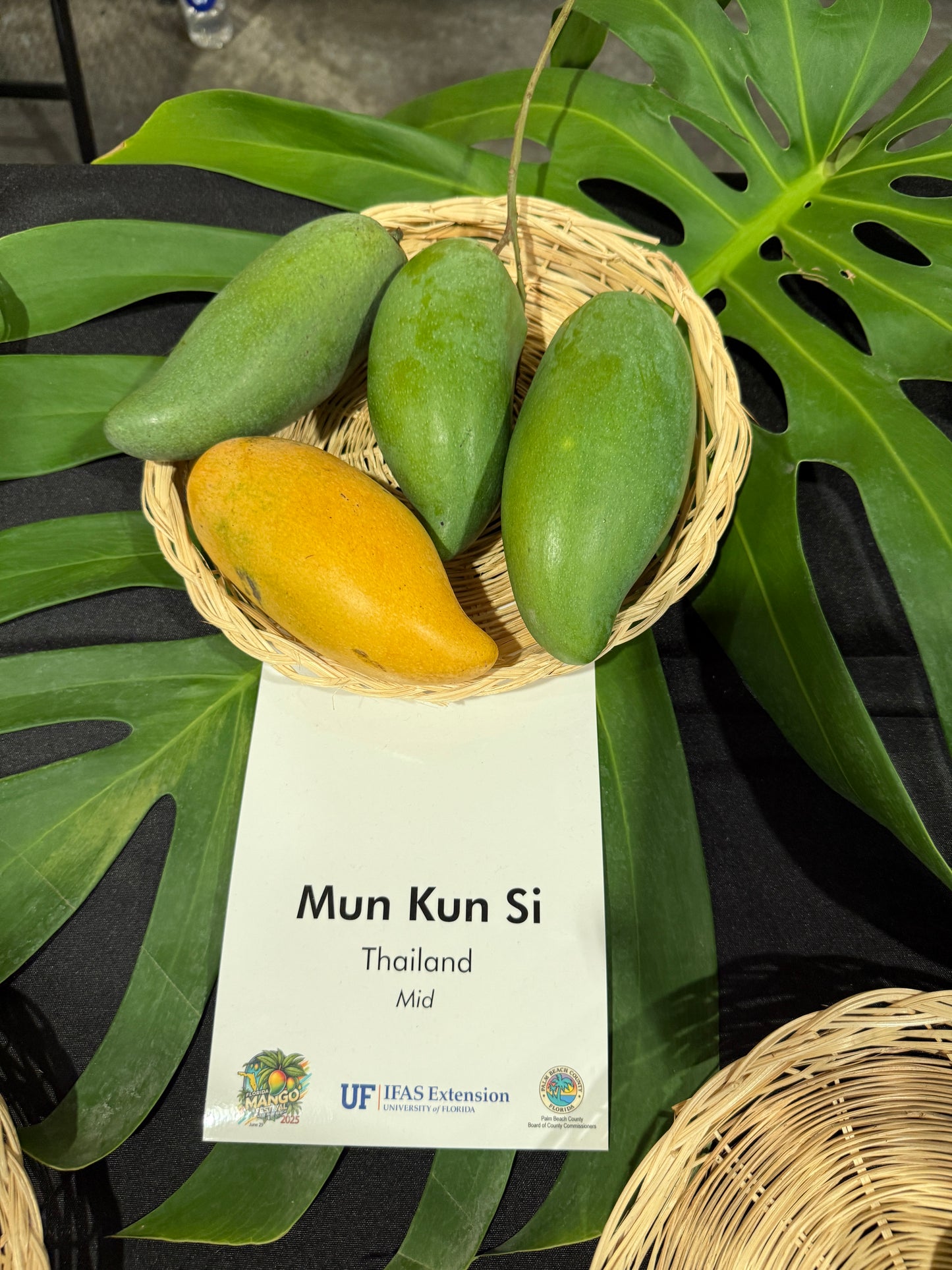Mun Kun Si / Mun Khun See