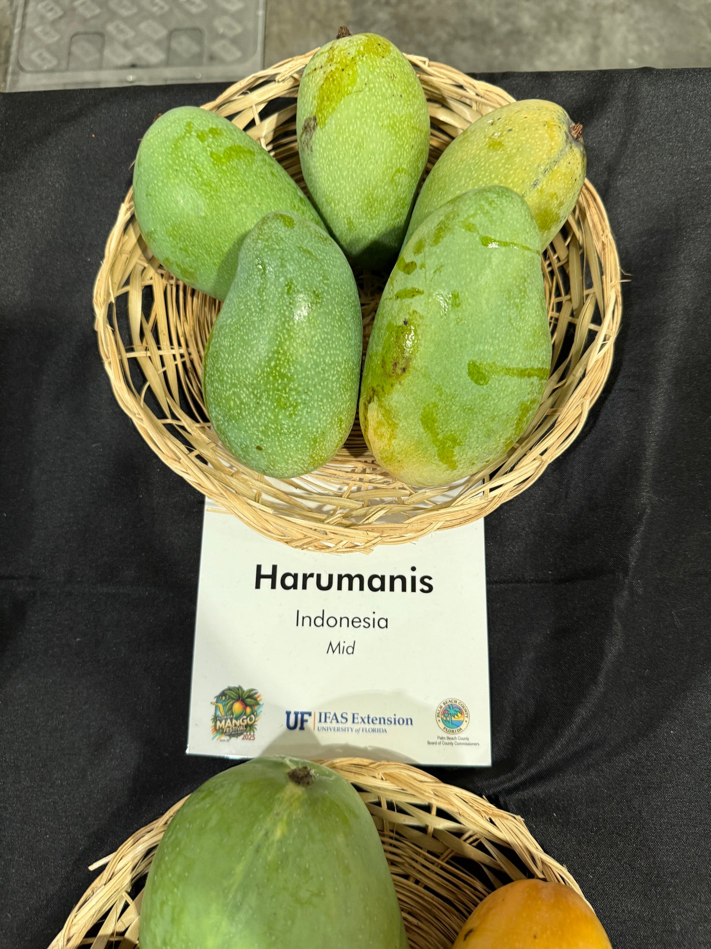 Harumanis