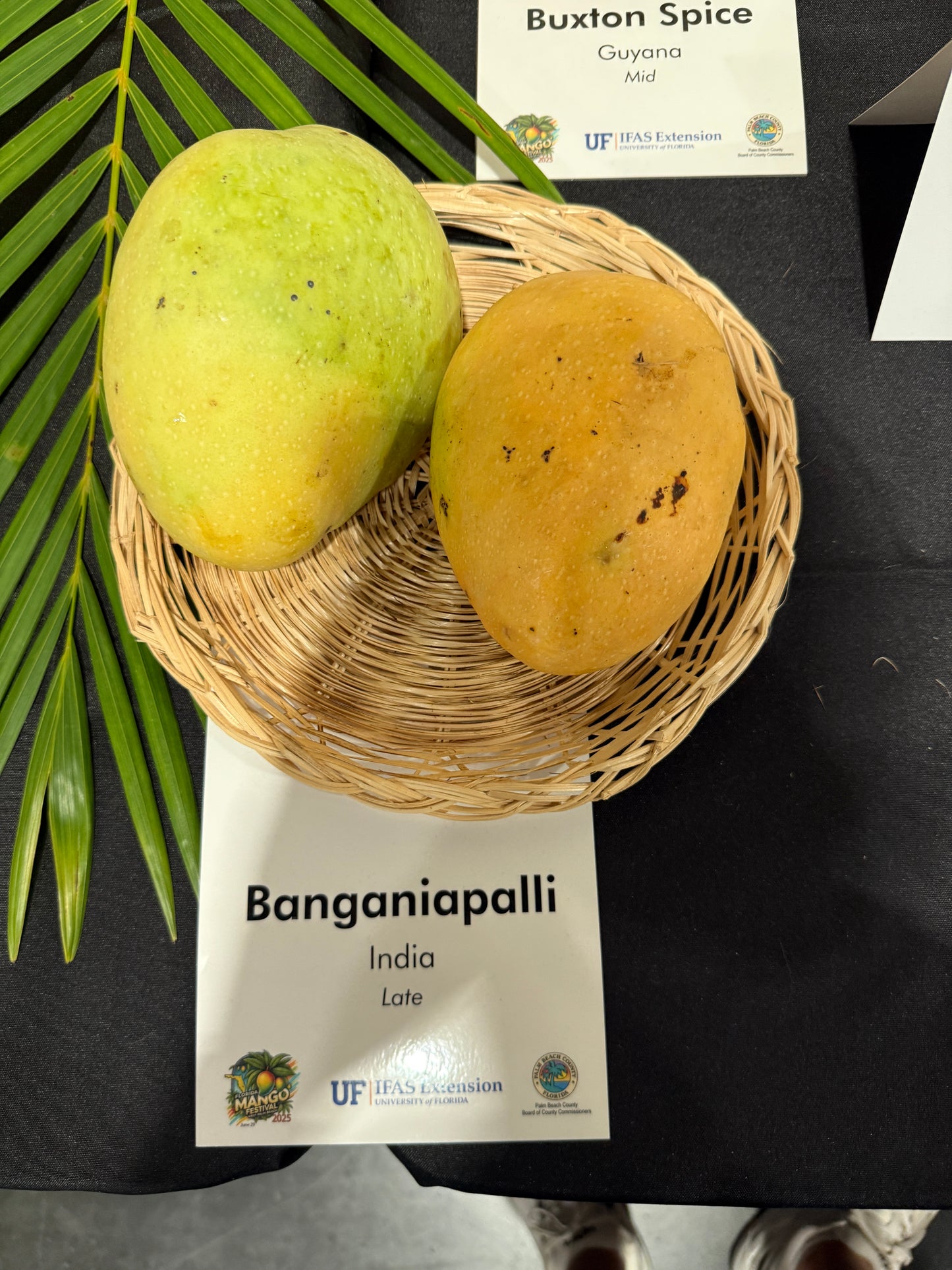 Two mangoes in a woven basket with 'Buxton Spice' and 'Banganiapalli' labels on a dark background.