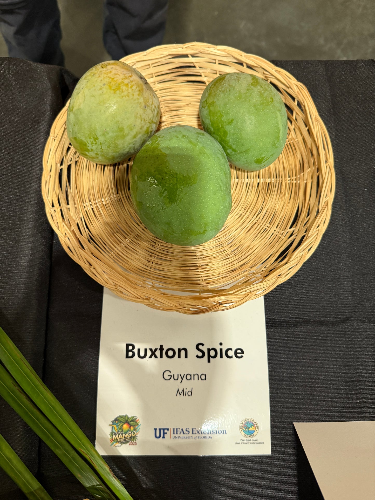Buxton Spice