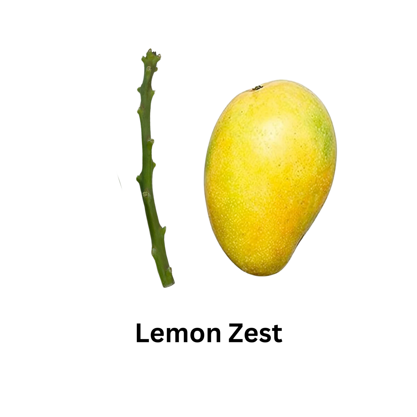 Lemon Zest Mango Scions