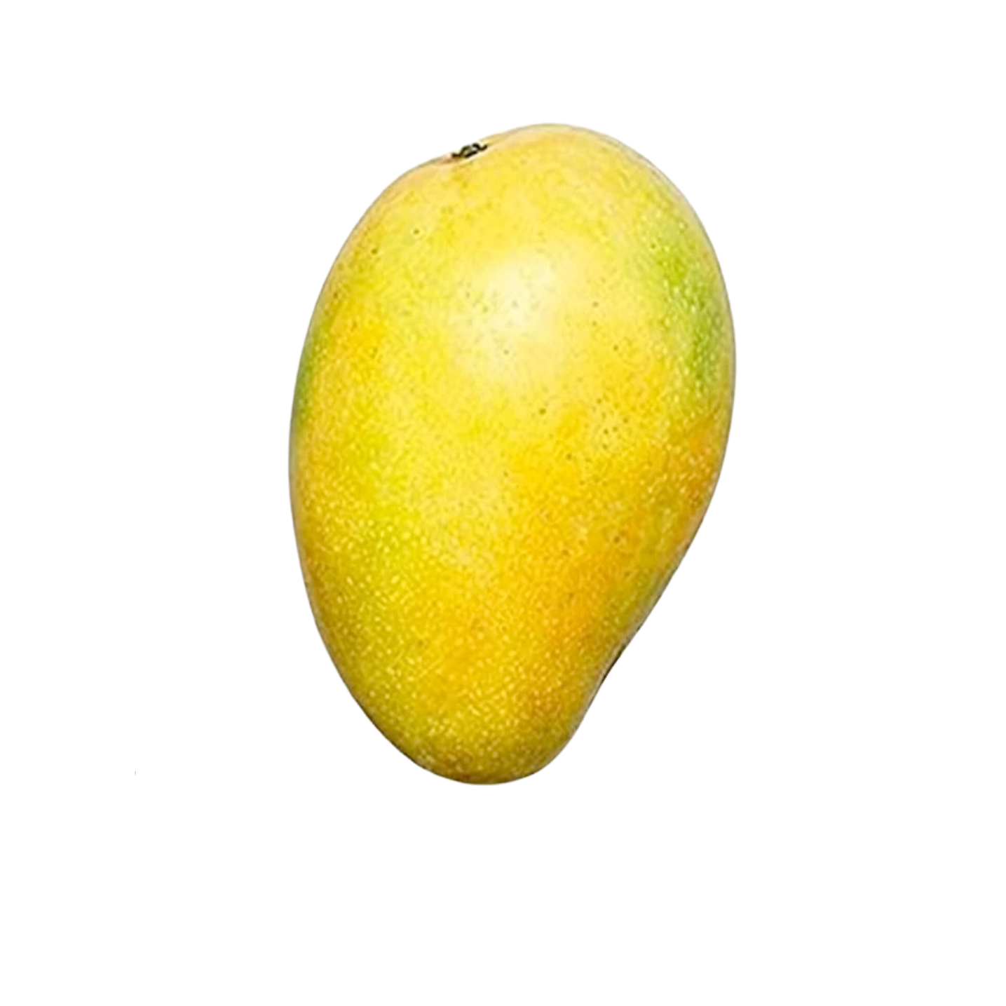 Lemon Zest Mango Scion