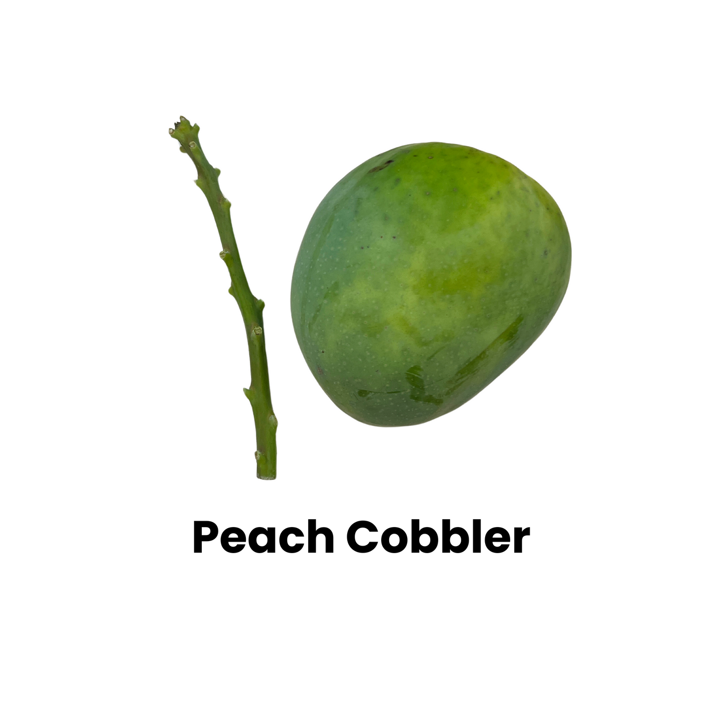 Peach Cobbler Mango and Scion