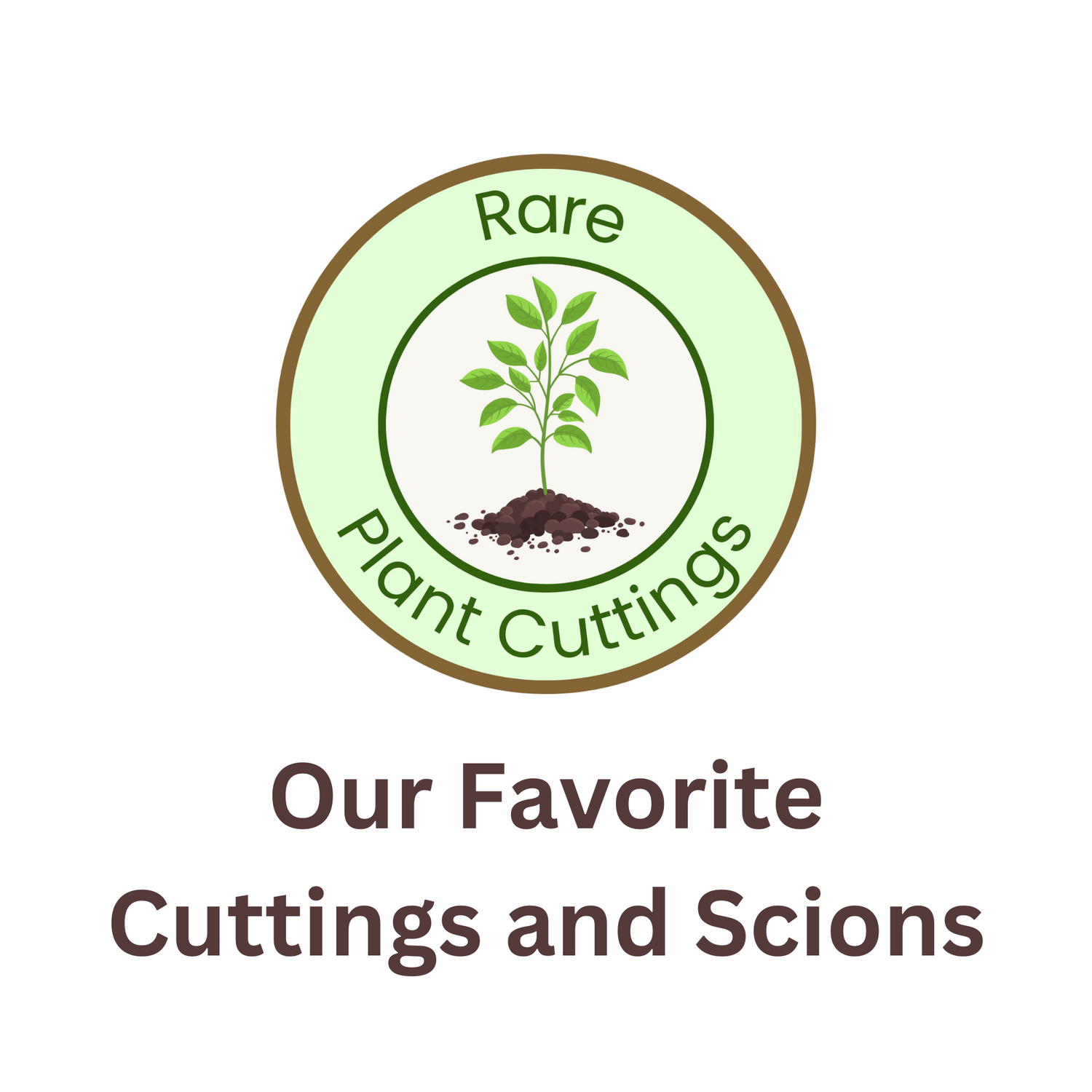 Our Favorite Cuttings & Scions