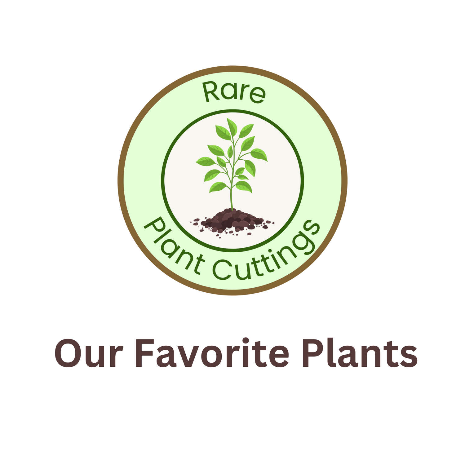 Our Favorite Plants