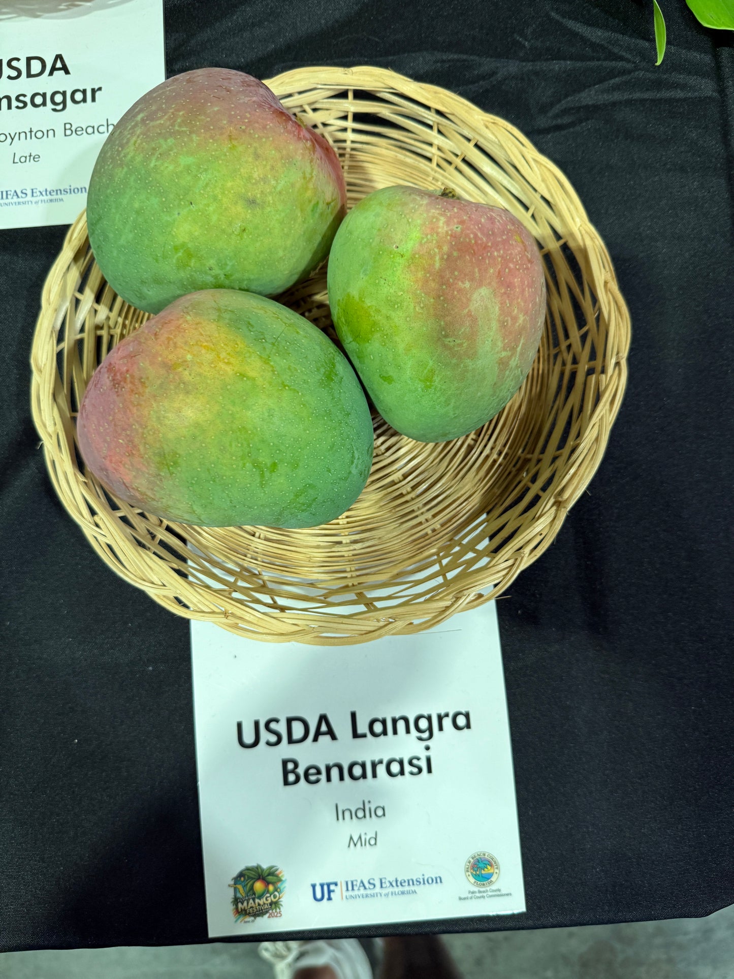 USDA Langra Benarasi