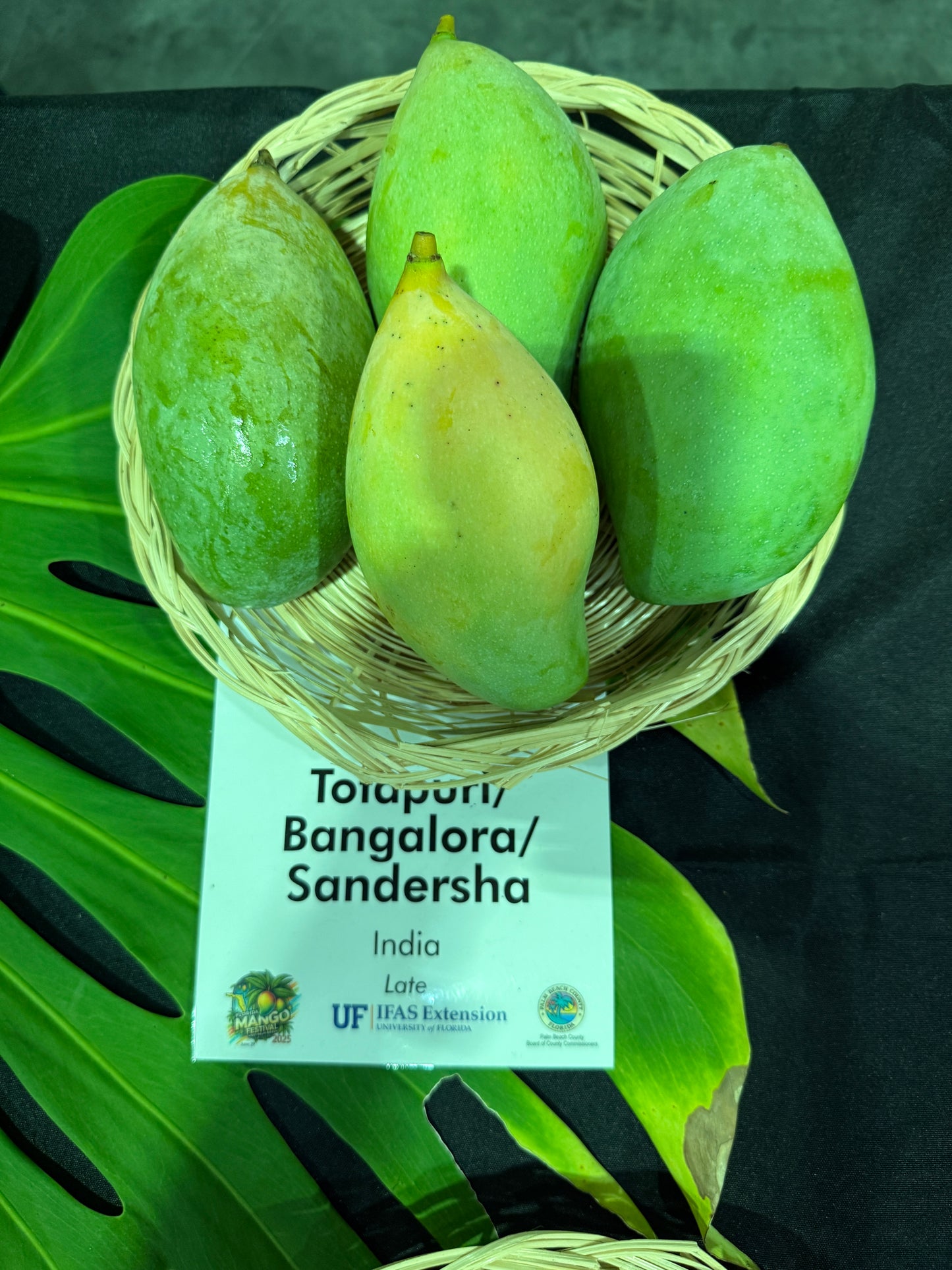 Totapuri / Bangolara / Sandersha