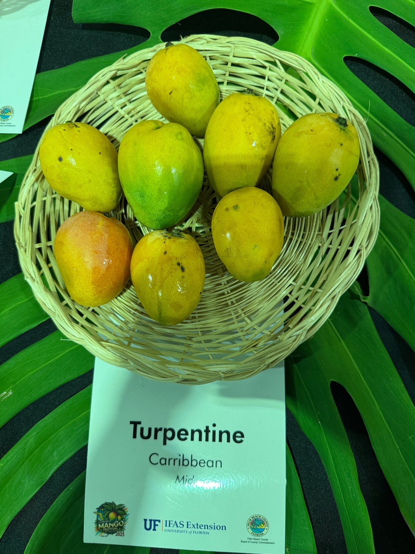 Turpentine