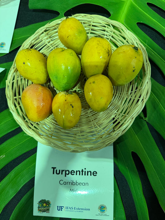 Turpentine