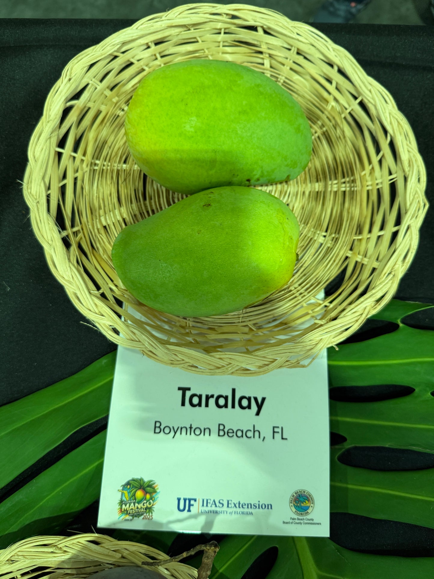 Taralay