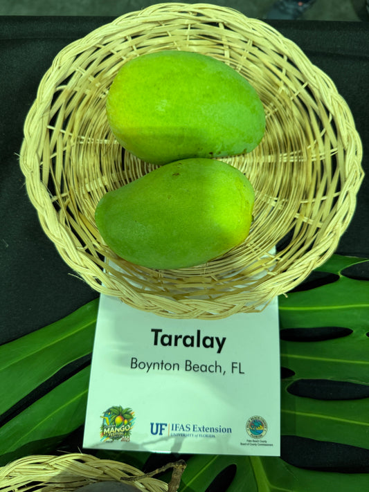 Taralay