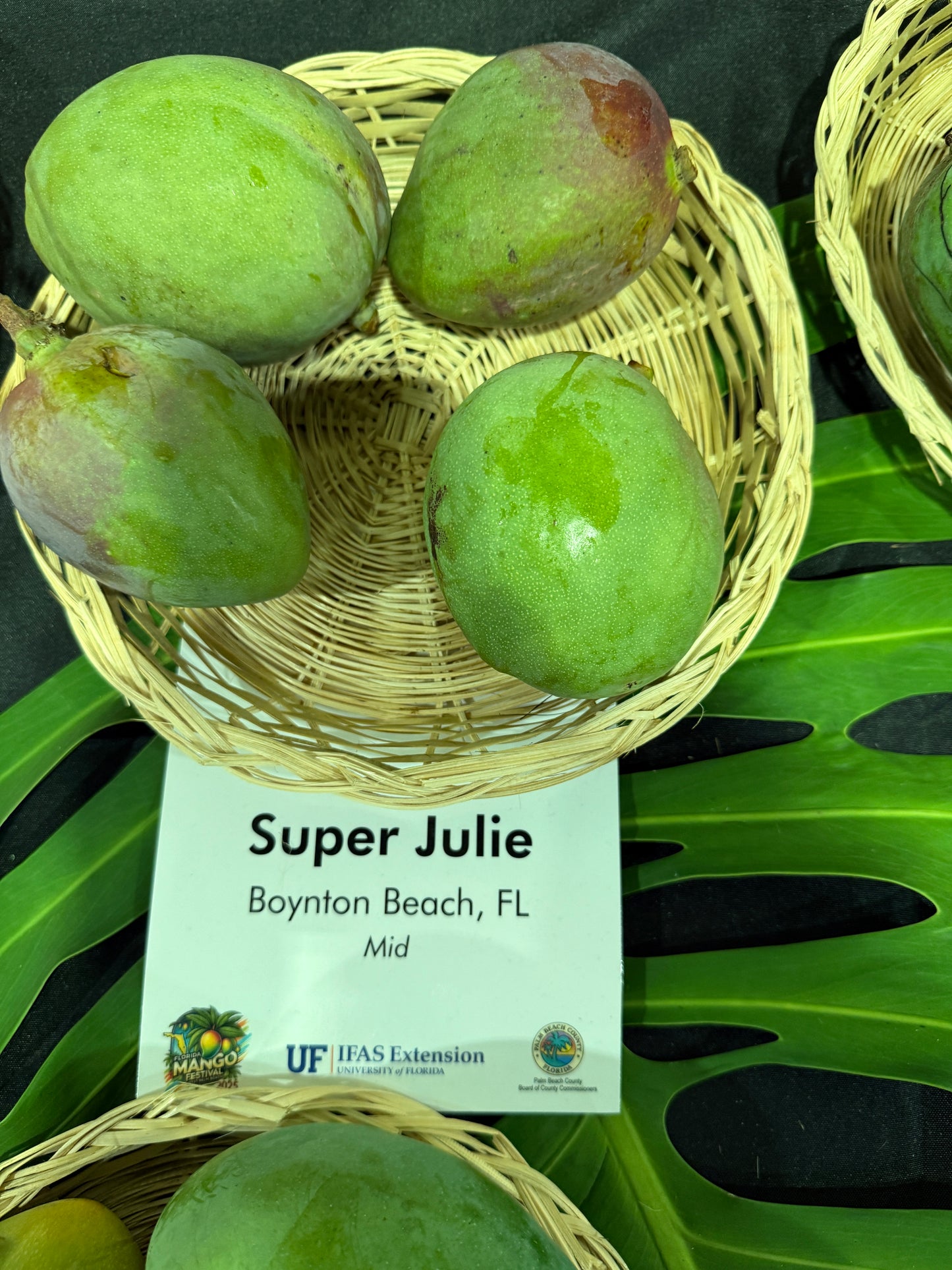 Super Julie / Fairchild Ruby / J-12