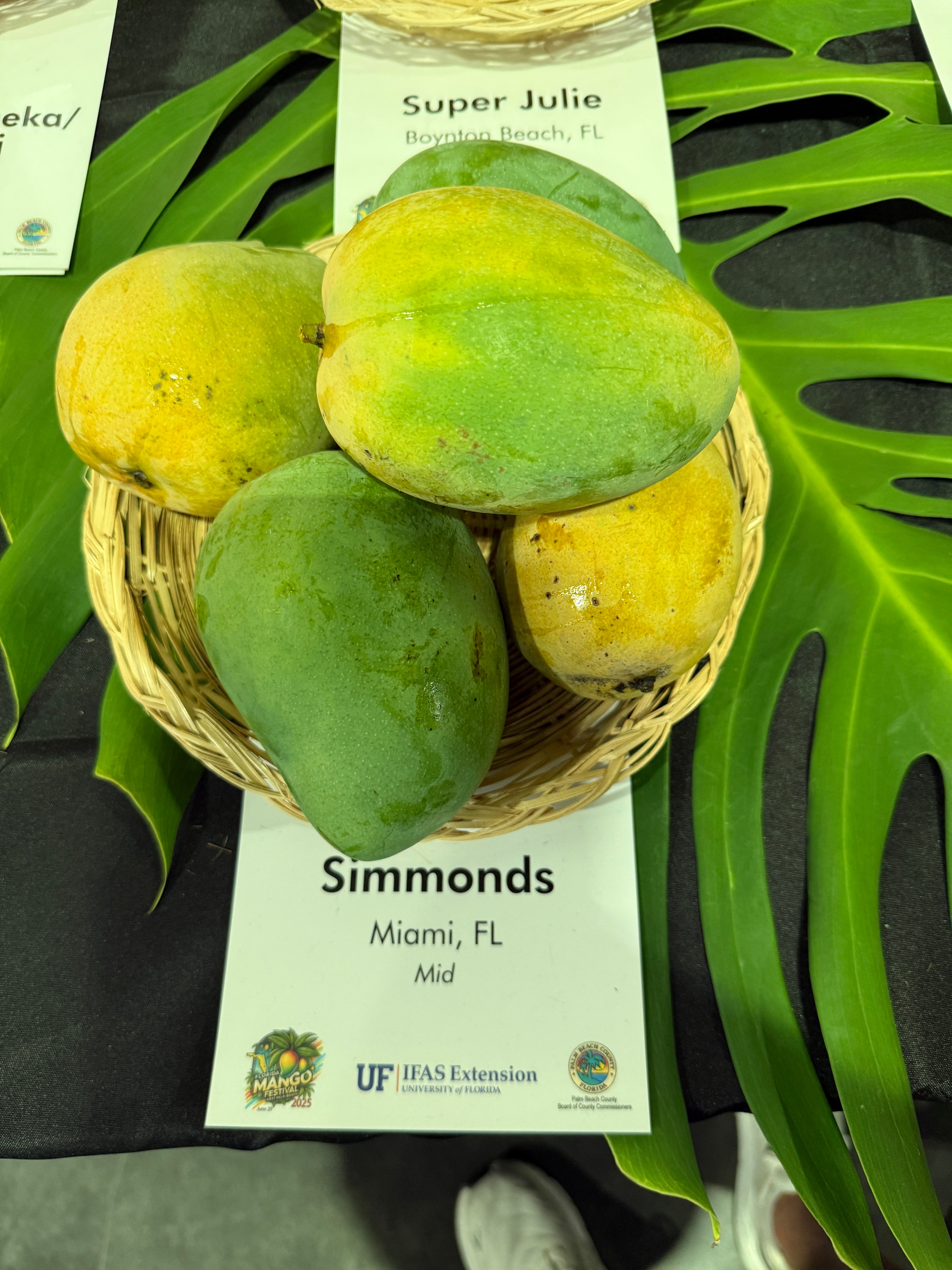 Simmonds – Rare Plant Cuttings