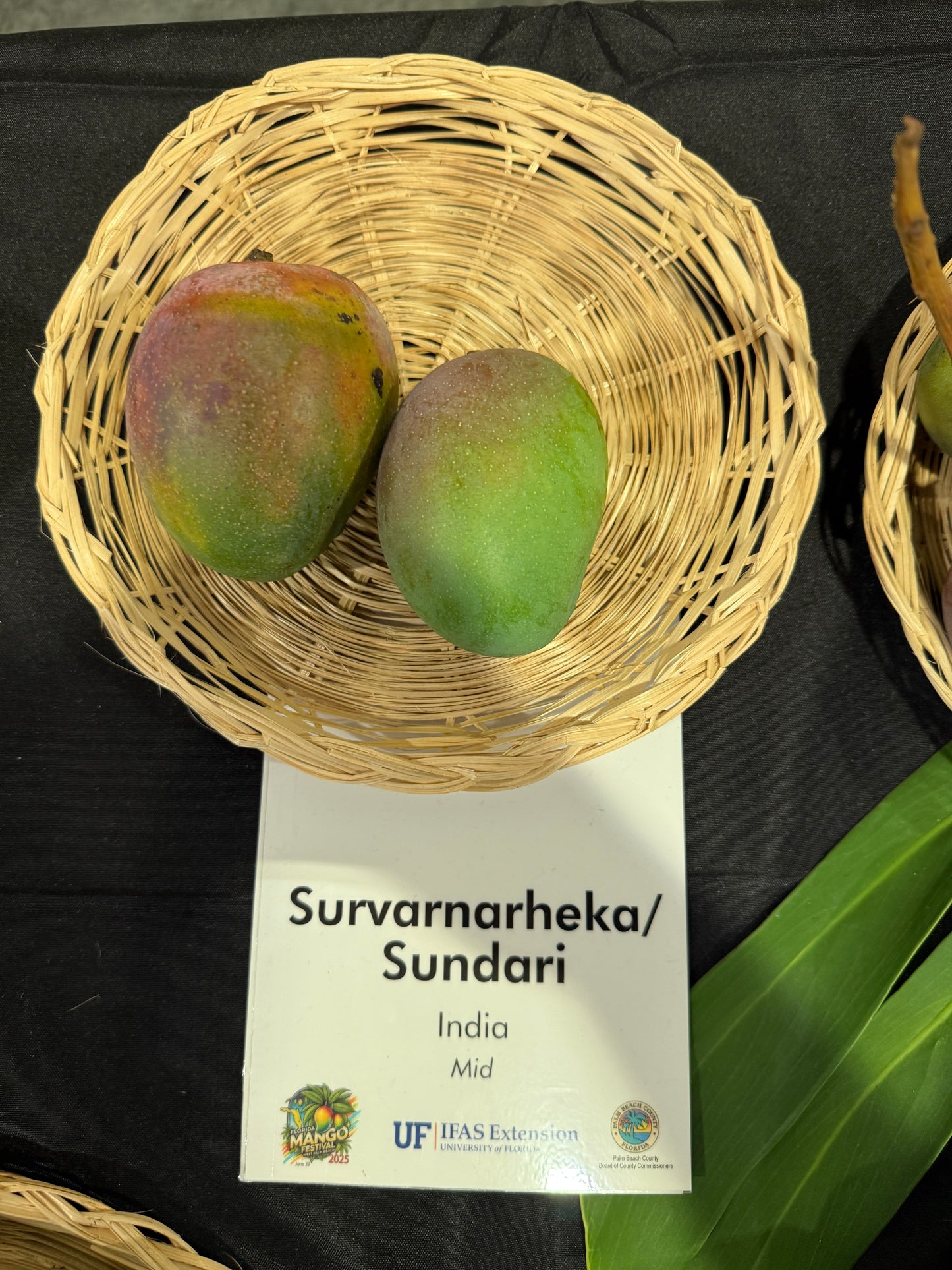 Suvarnarekha / Sundari