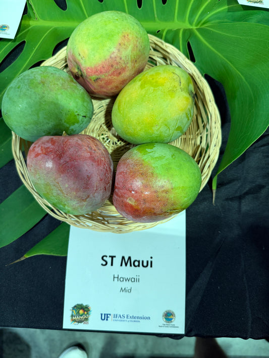 ST Maui