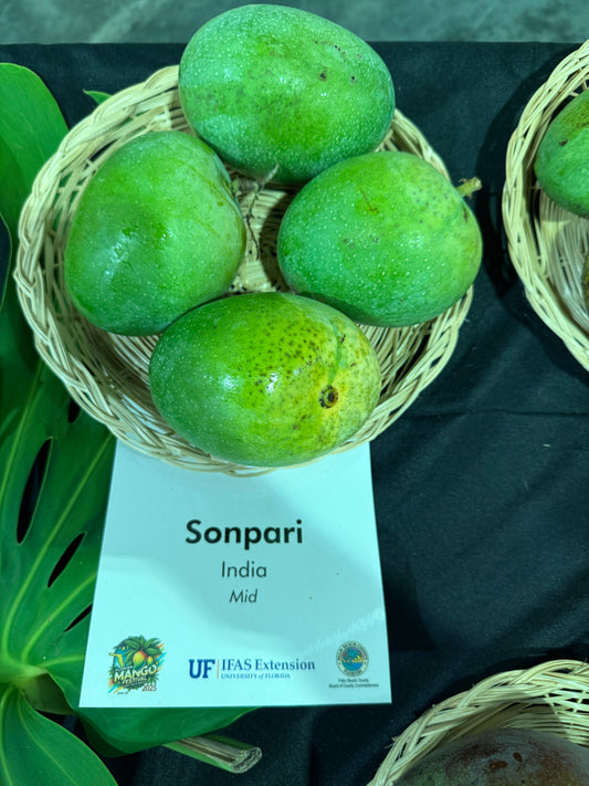 Sonpari