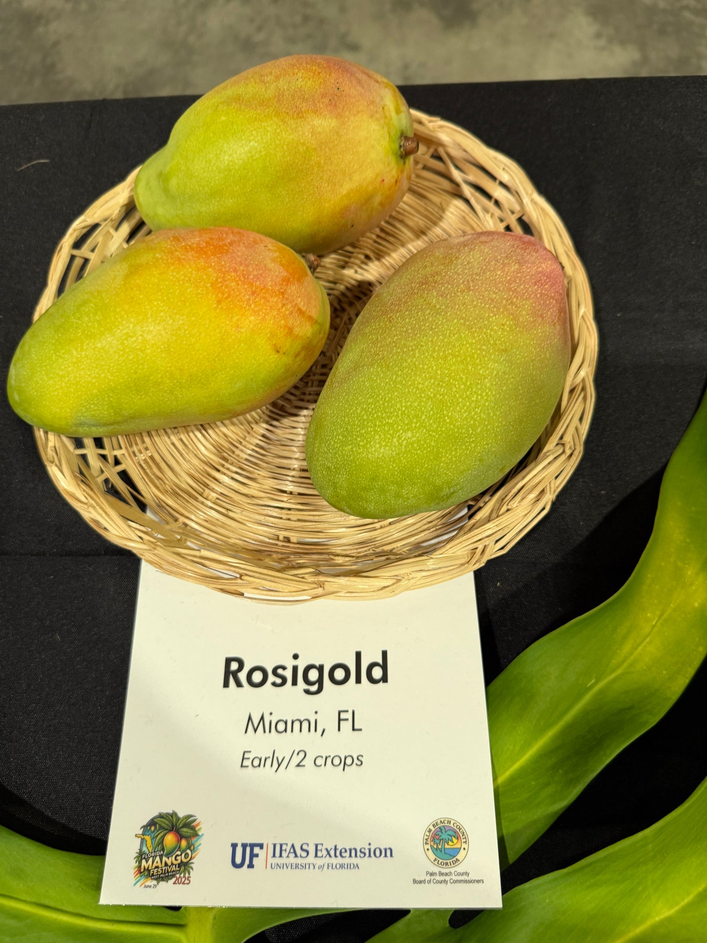 Mangoes in a woven basket with a Rosigold label on a black background