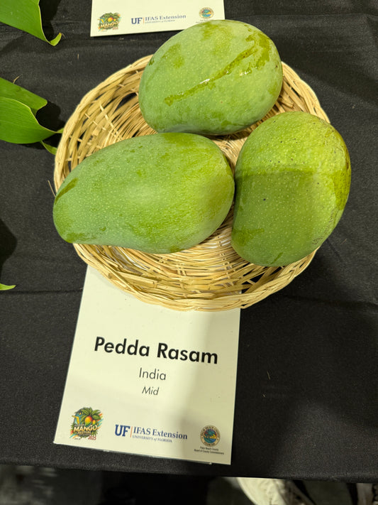 Pedda Rasam