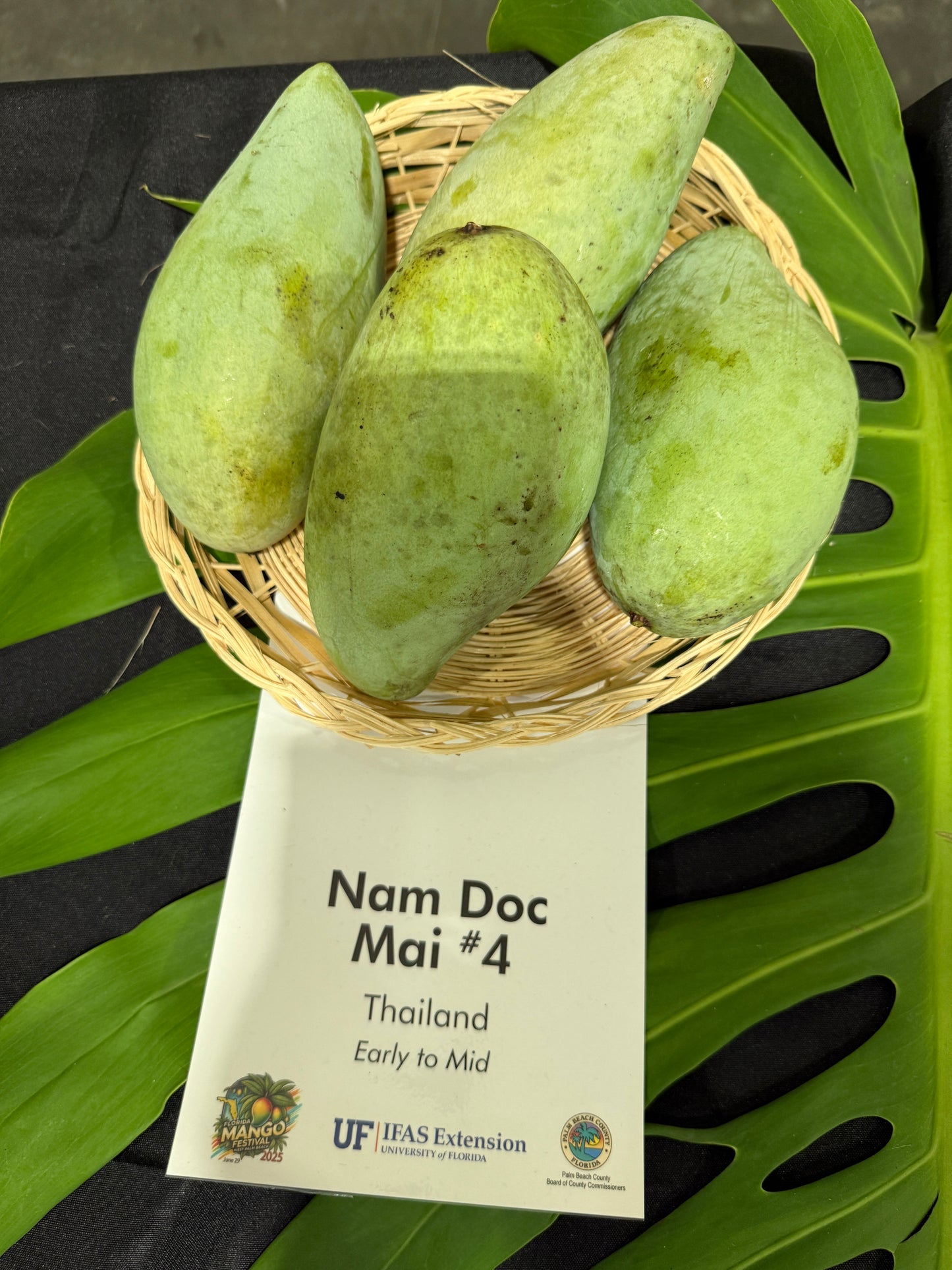 Nam Doc Mai #4