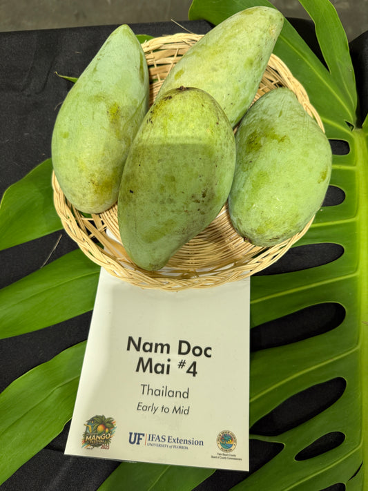 Nam Doc Mai #4