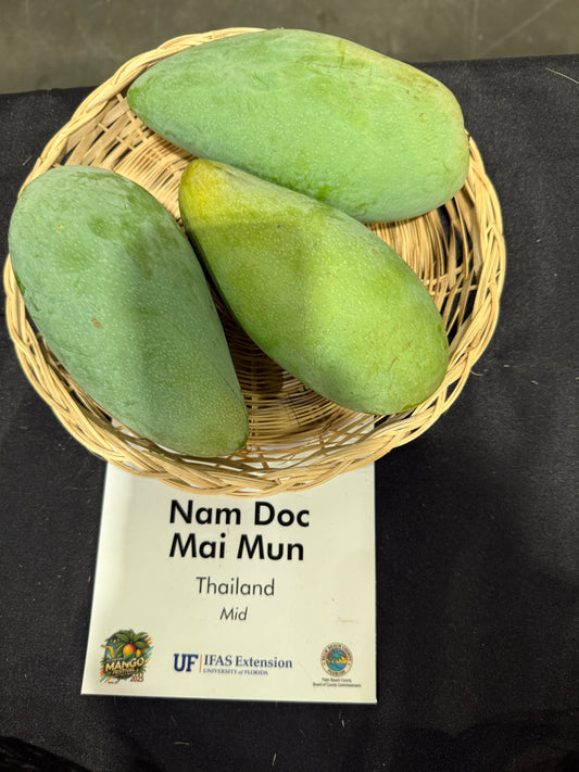 Nam Doc Mai Mun