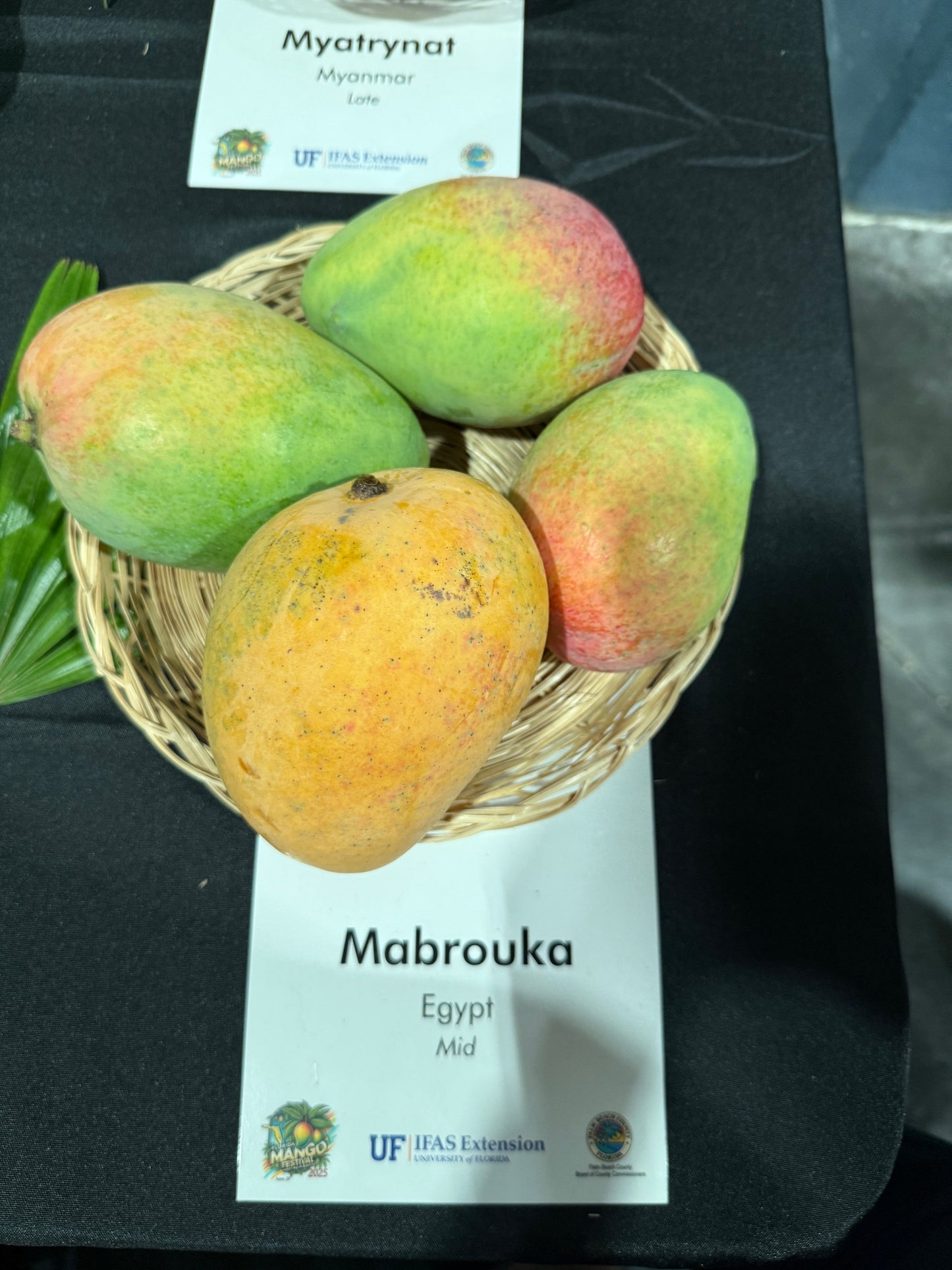 Mabrouka