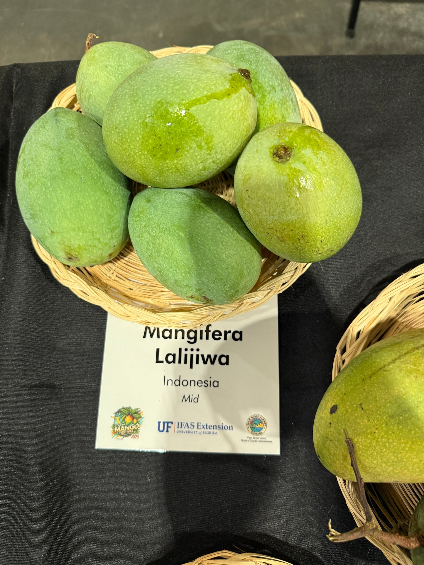 Mangifera Lalijiwa fruits