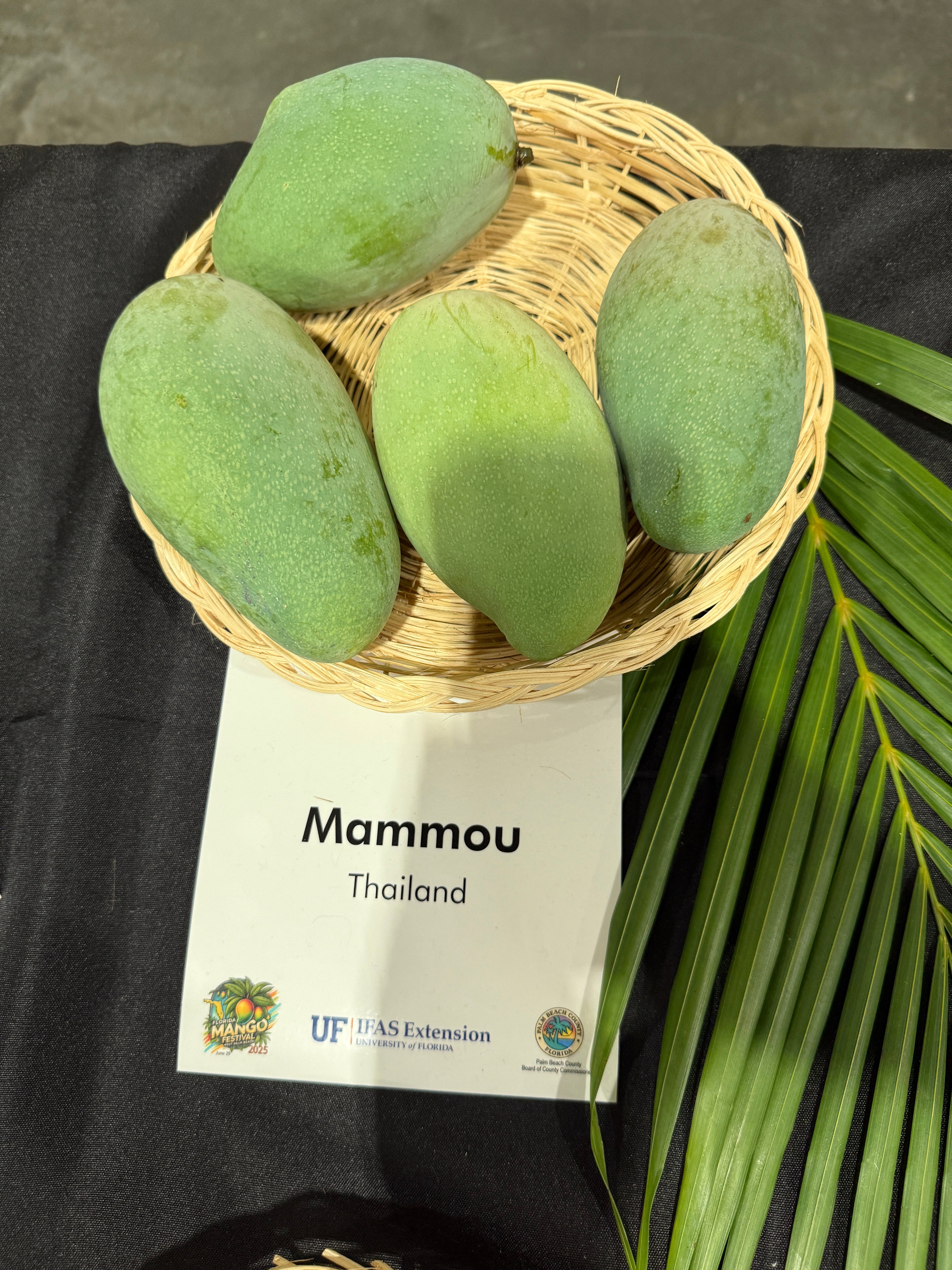 果物 mamu Mammou – Rare Plant Cuttings
