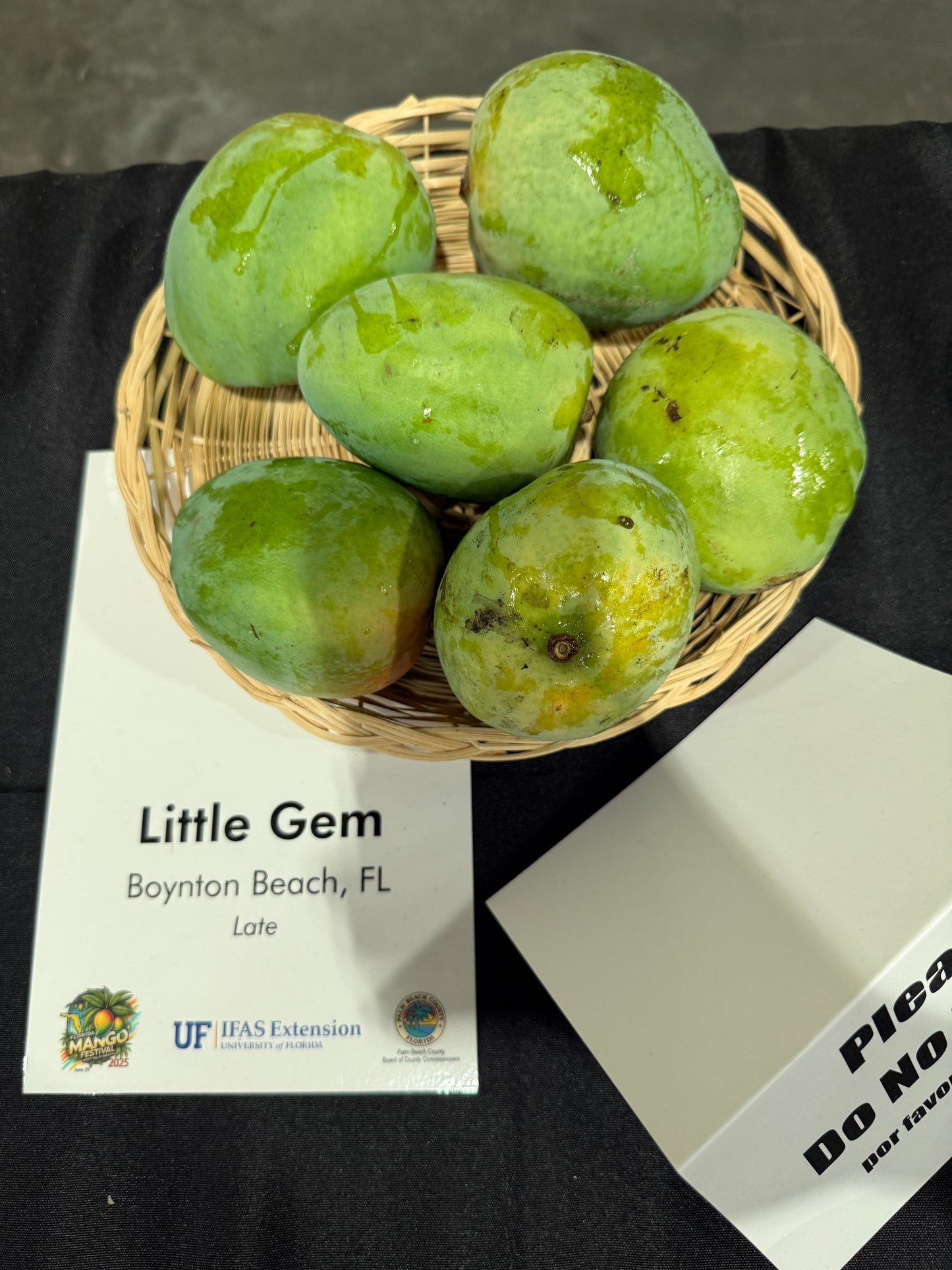 Lil Gem / Little Gem