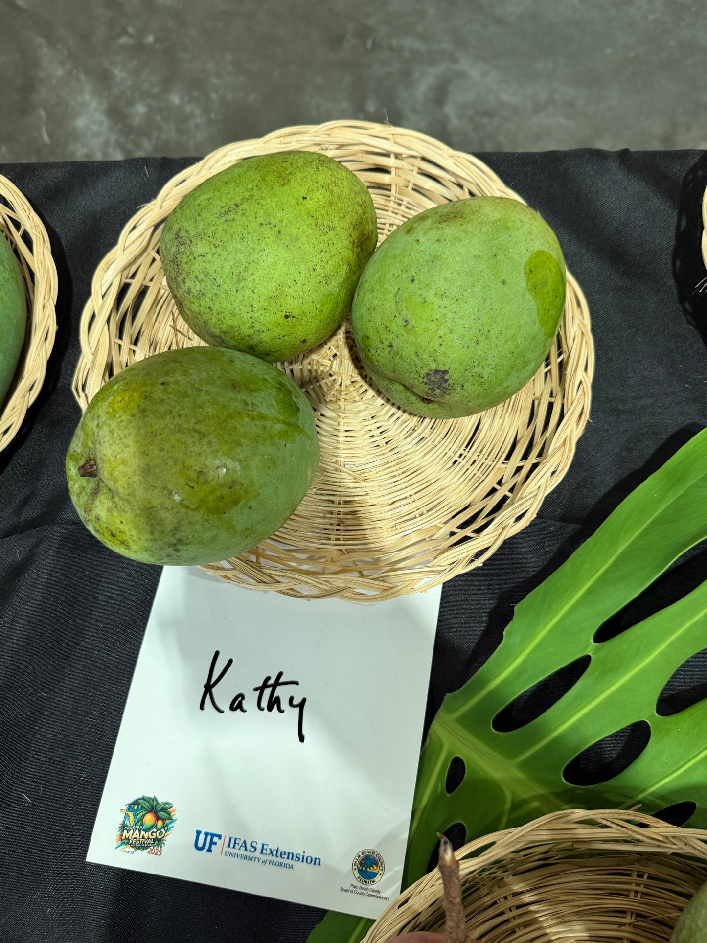 Kathy / Kryptonite / K3