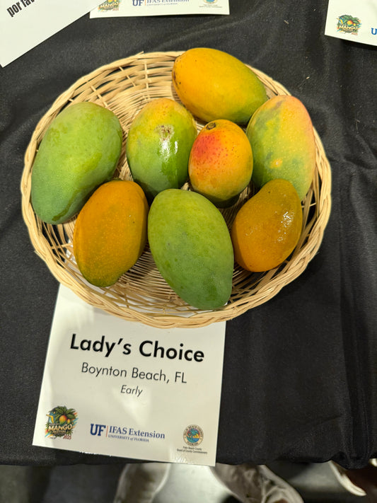 Lady's Choice
