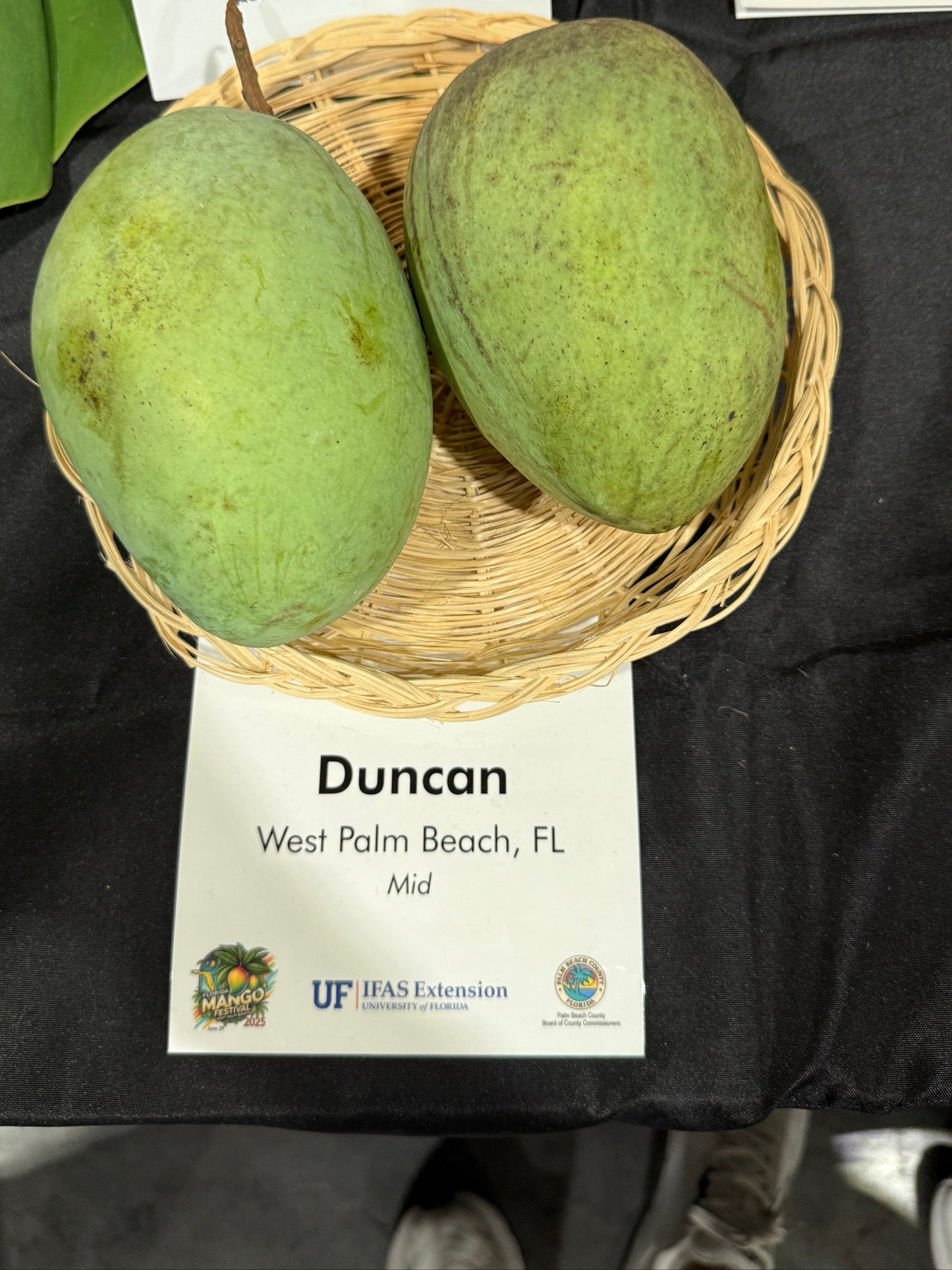 Duncan Mango
