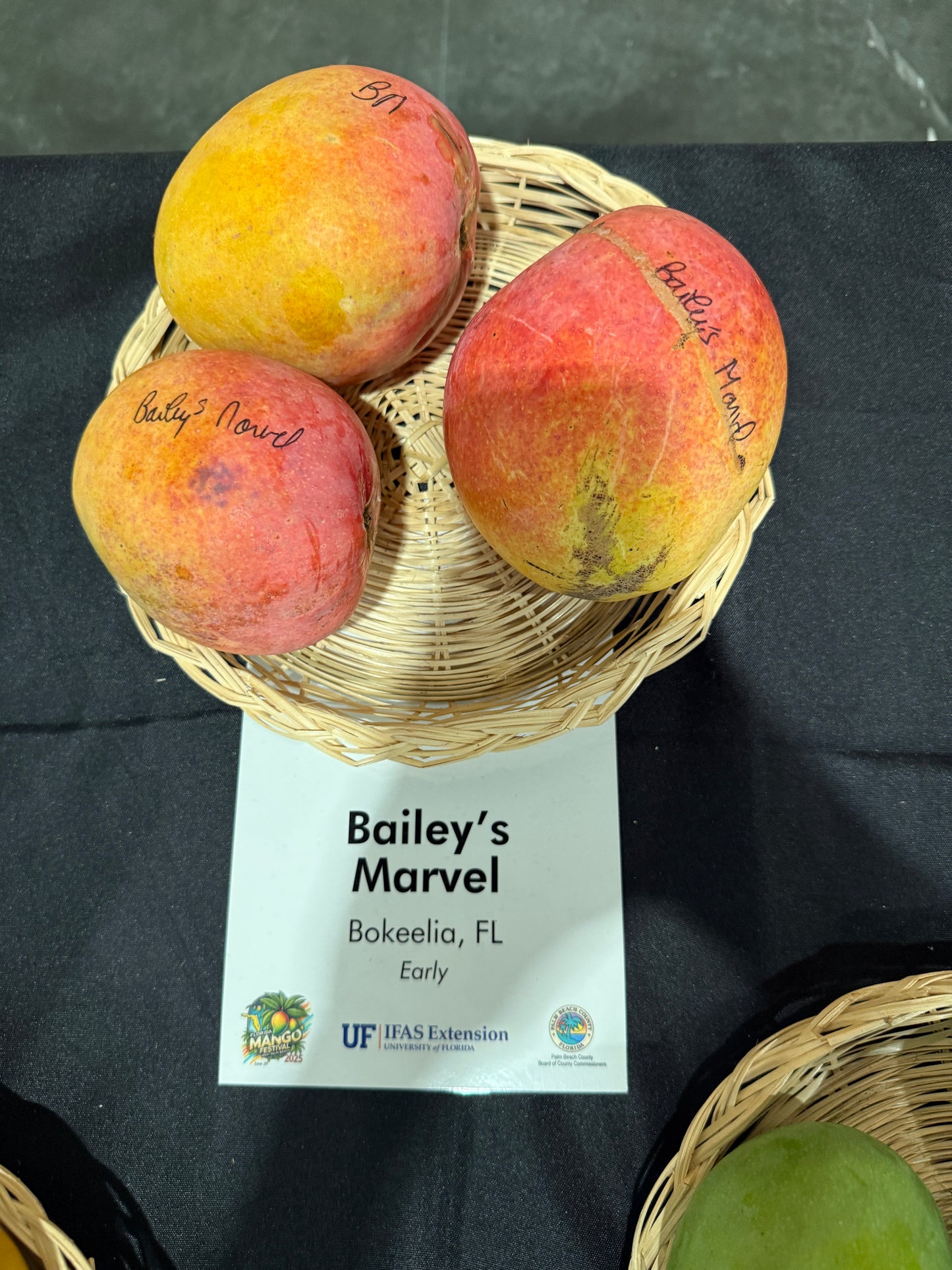 Basket of Bailey's Marvel mangoes with a label on a dark surface