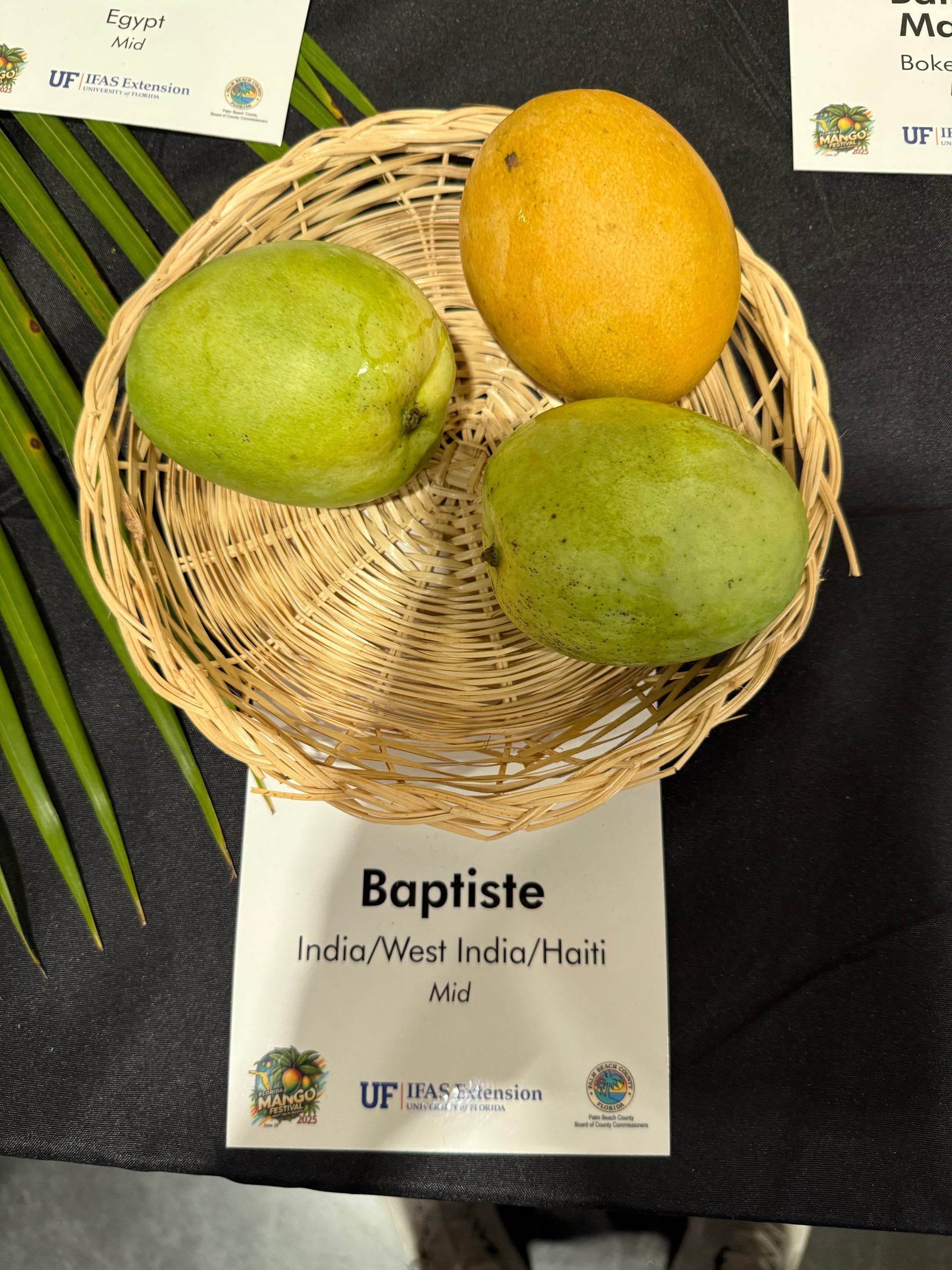 Three mangoes in a woven basket with 'Baptiste' label in the background