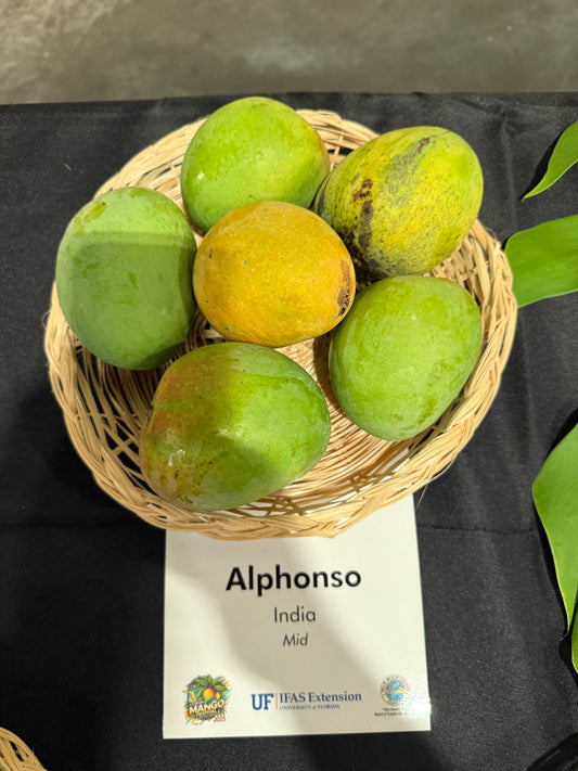 Alphonso