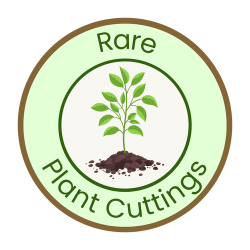 Rare Plant Cuttings