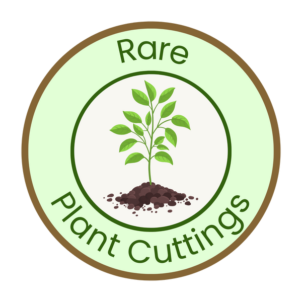 Rare Plant Cuttings