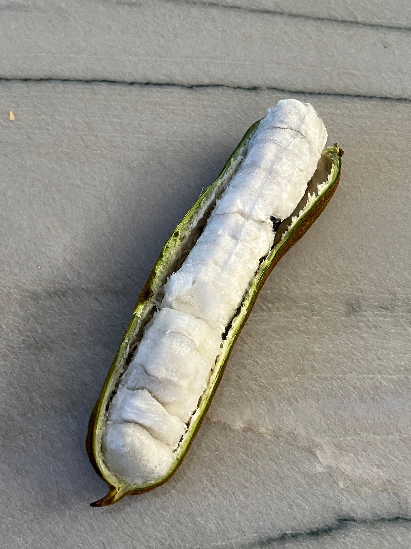 Ice Cream Bean Variety Bundle (Edulis & Feullei)